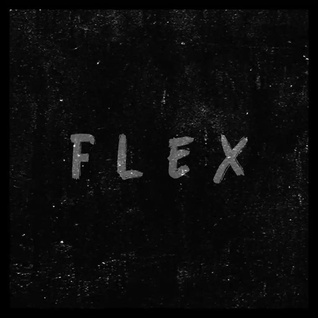 Flex (feat. Gab Coelho, Said & Txkx)