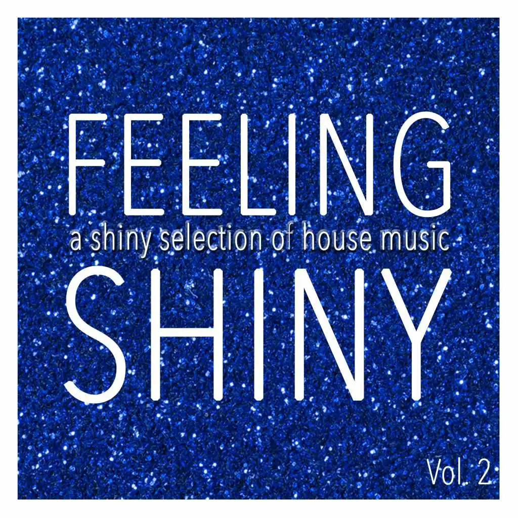 Feeling Shiny, Vol. 2 - Shiny Selection of House Music