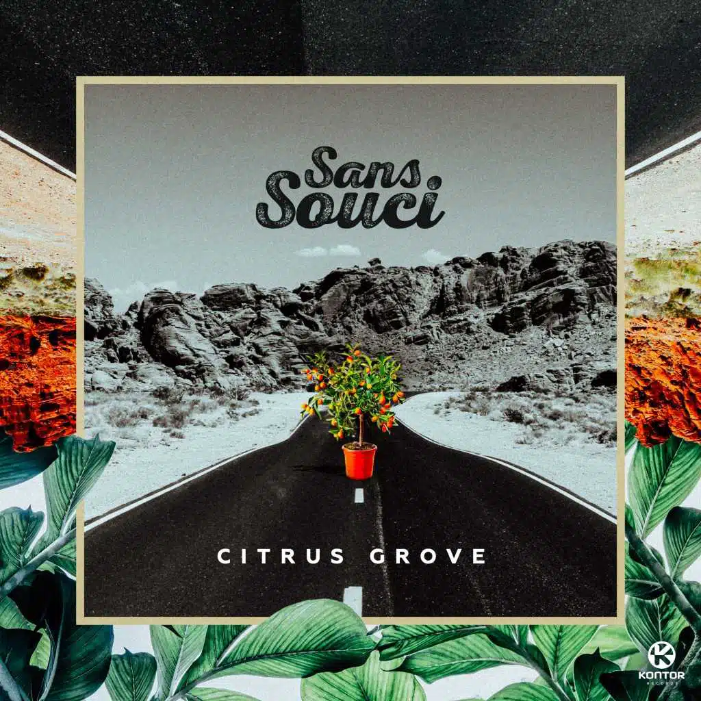 Citrus Grove