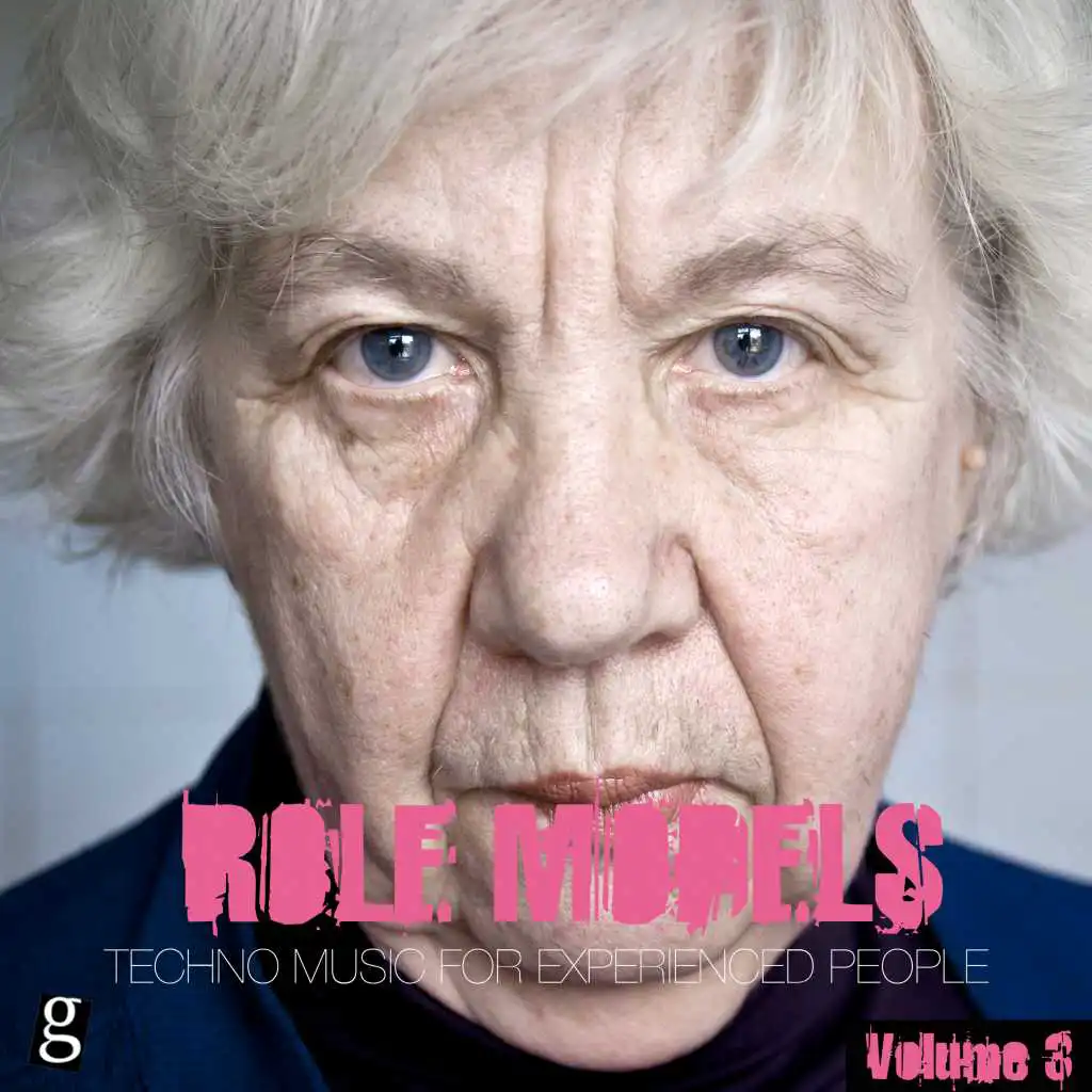 Role Models, Vol. 3 - Techno Music for Experienced People