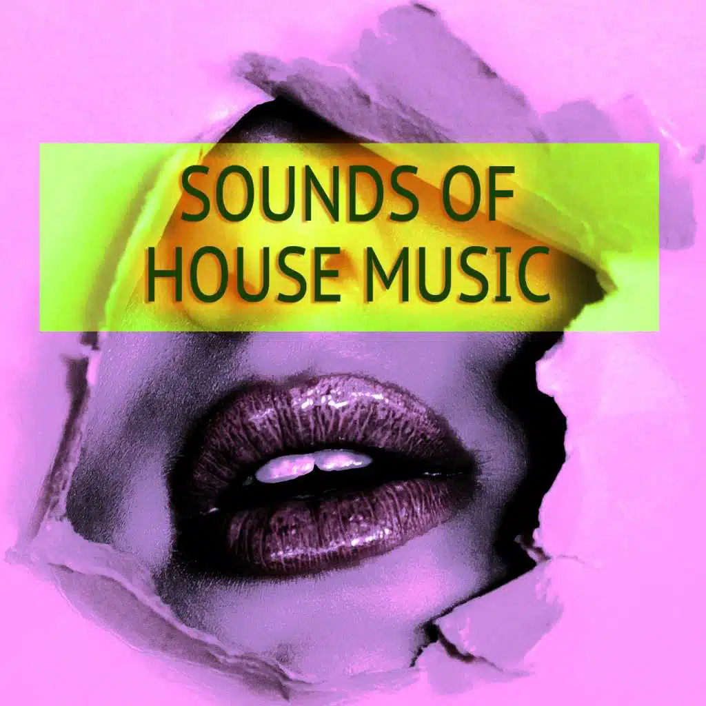 House of Dub (Radio Edit)