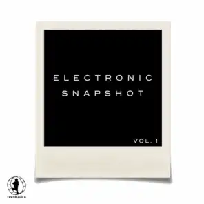 Electronic Snapshot, Vol. 1