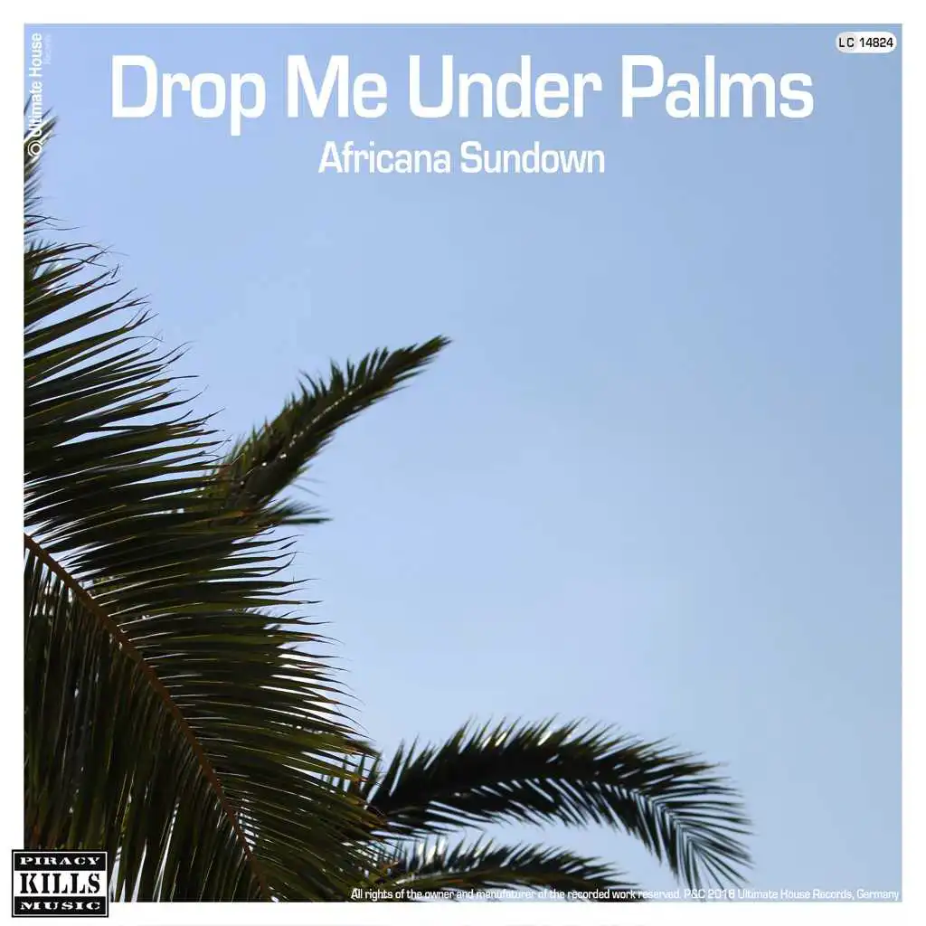 Drop Me Under Palms (Radio Edit)