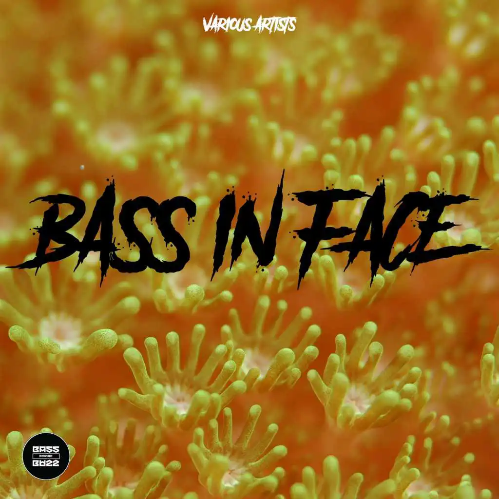 Bass in Face