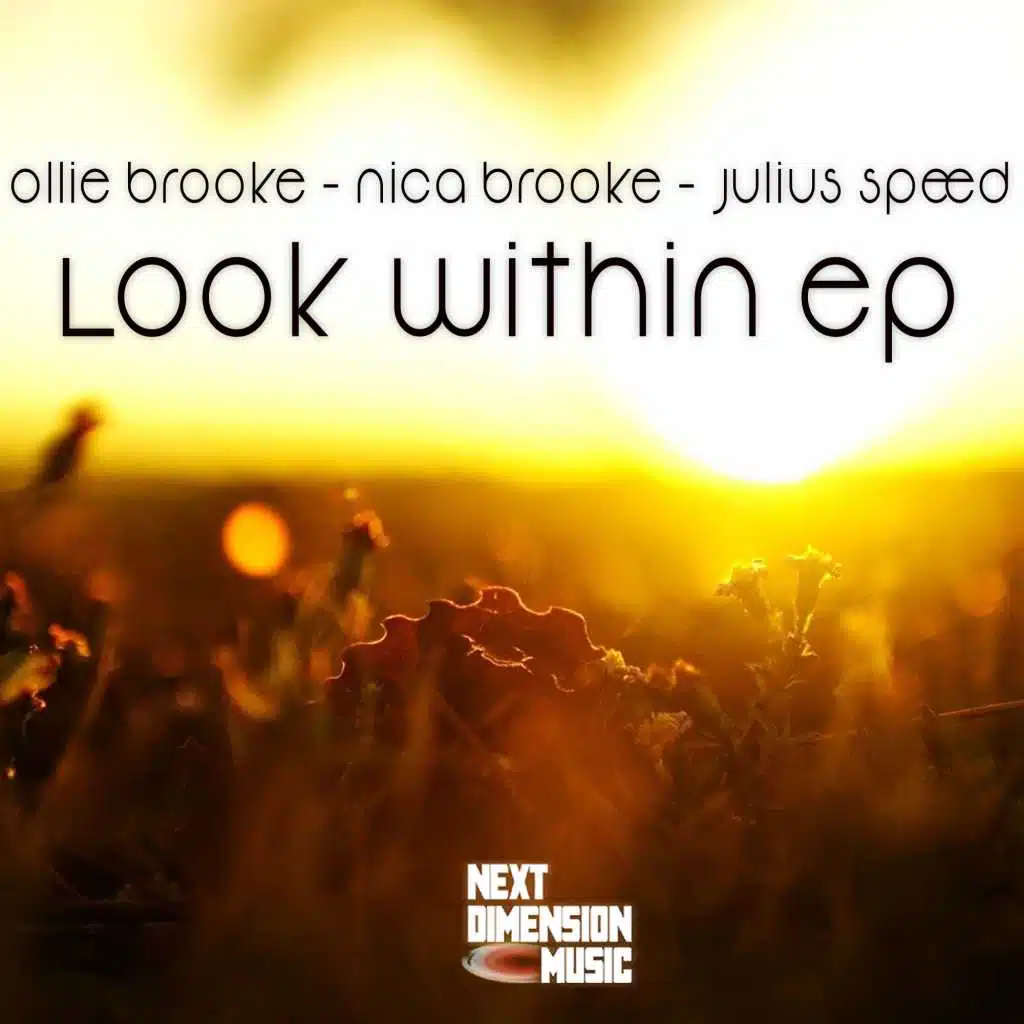 Look Within EP