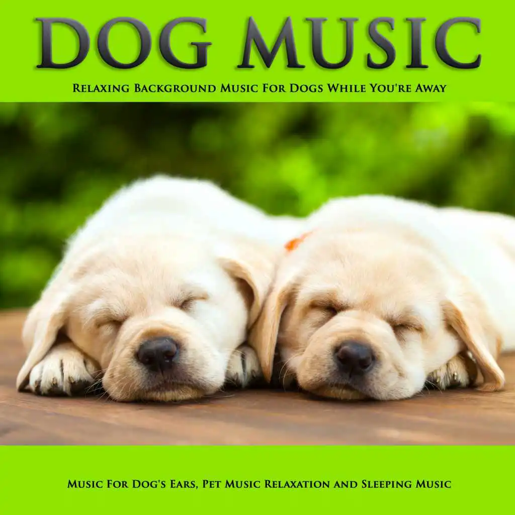 Dog Music: Relaxing Background Music For Dogs While You're Away, Music For Dog's Ears, Pet Music Relaxation and Sleeping Music