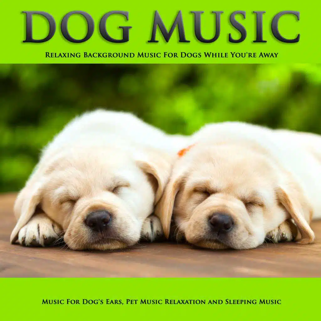 Music for Dog's Ears