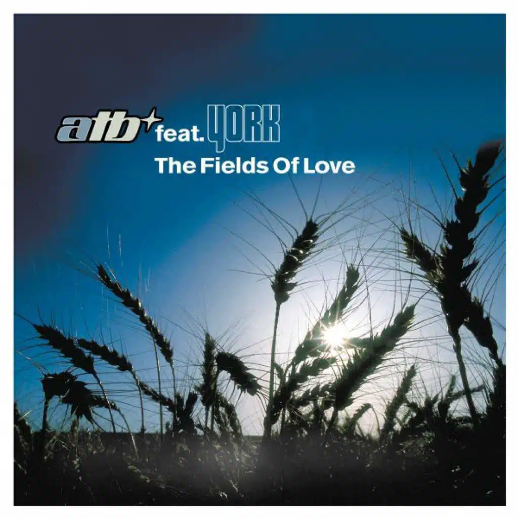 The Fields of Love (Airplay Mix) [feat. York]