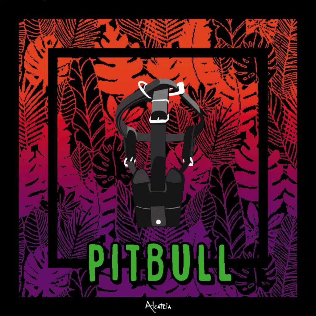 Pitbull