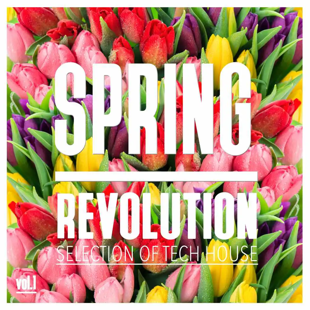 Spring Revolution, Vol. 1 - Selection of Tech House