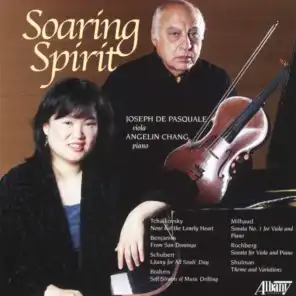 Soaring Spirit