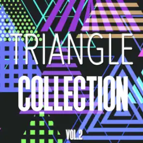 Triangle Collection, Vol. 2 - Best of House, Tech House and Techno
