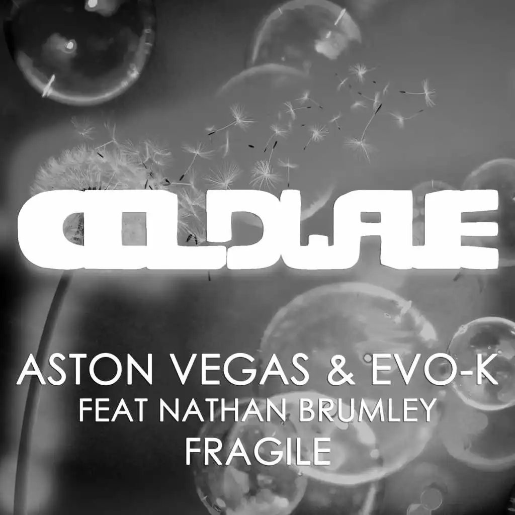Fragile (feat. Nathan Brumley)