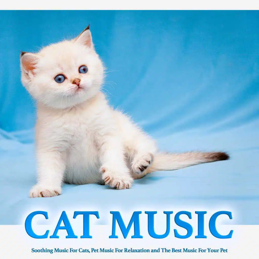 Soothing Music For Cats