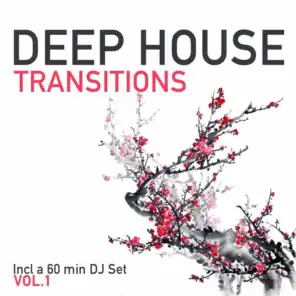 Deep House Transitions, Vol. 1