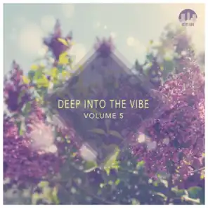 Deep Into the Vibe, Vol. 5