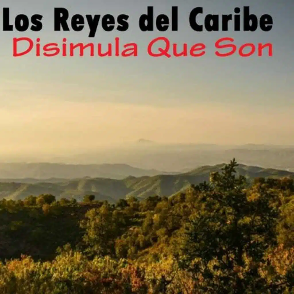 Disimula Que Son