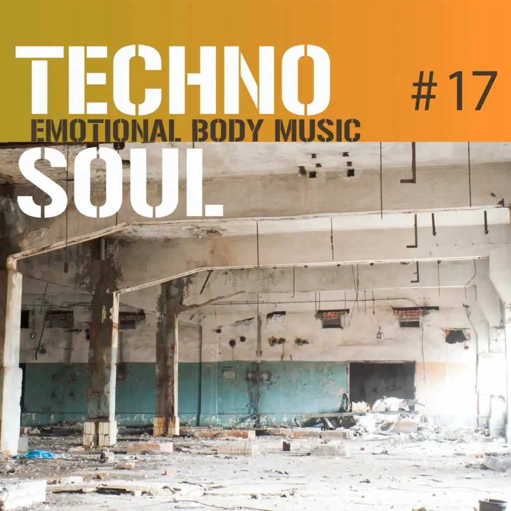 Techno Soul #17 - Emotional Body Music