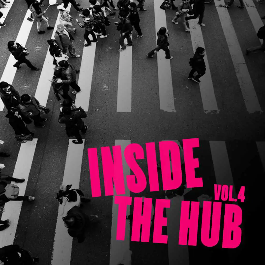Inside the Hub, Vol. 4 - Selection of Tech House