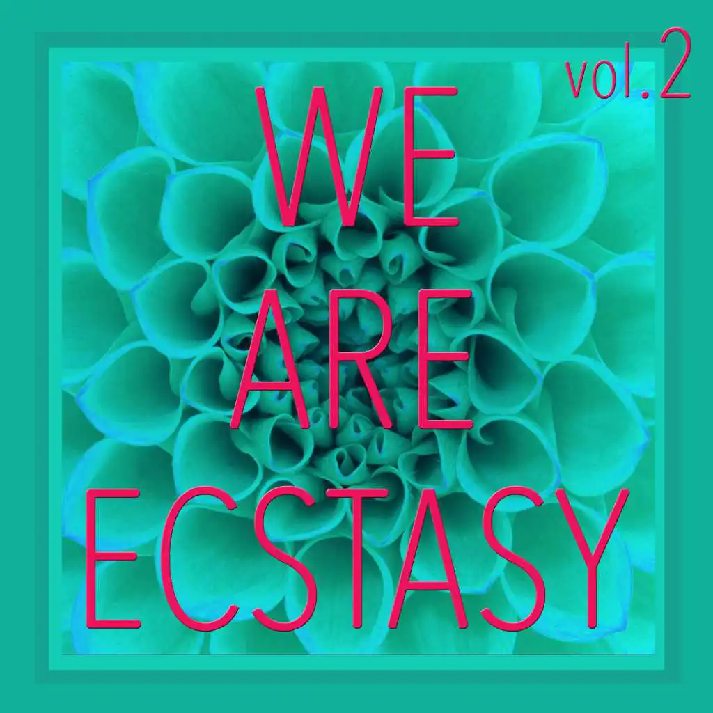 We Are Ecstasy, Vol. 2 - Selection of House and Tech House