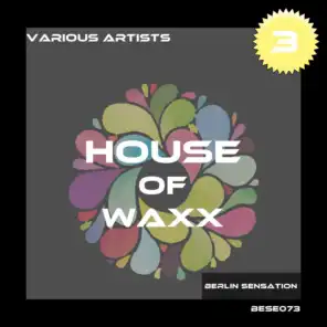 House of Waxx, Vol. 3 (The House Collection)