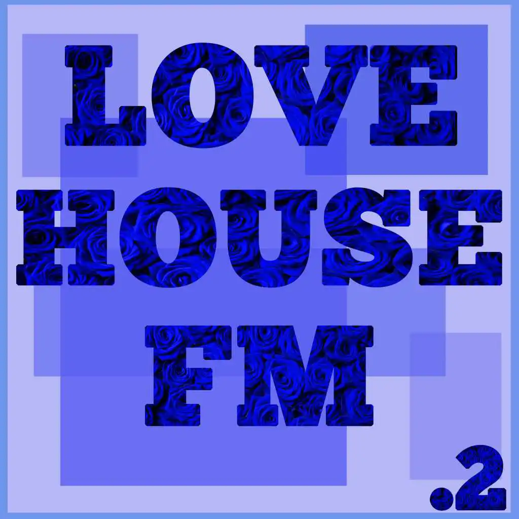 Love House FM, Vol. 2