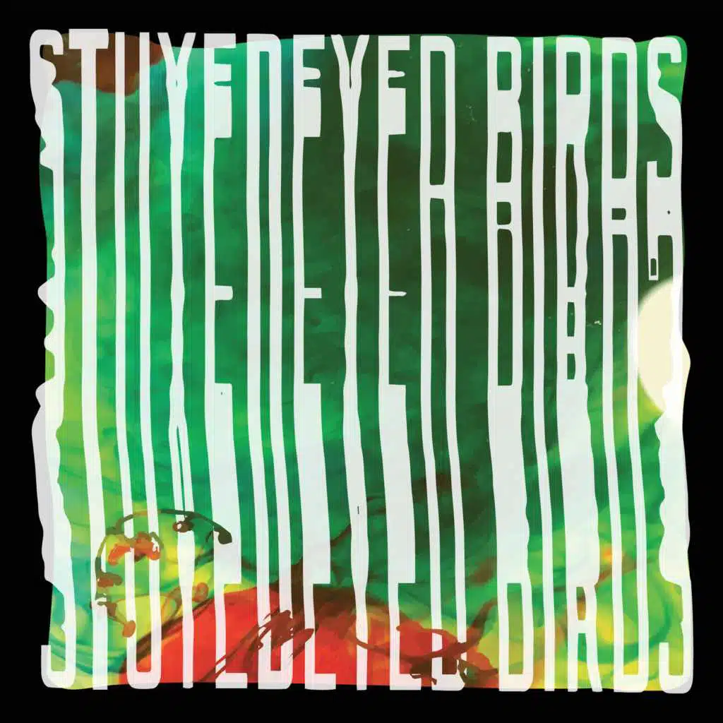Stuyedeyed / Birds Split 7"