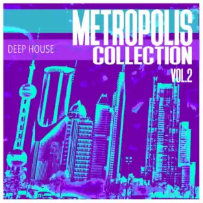 Metropolis Collection, Vol. 2 - Selection of Deep House