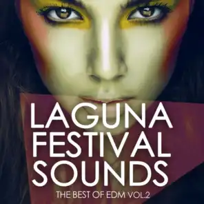 Laguna Festival Sounds, Vol. 2 - The Best of EDM