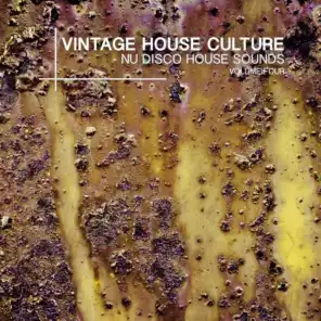 Vintage House Culture, Vol. 4 - Nu Disco House Sounds