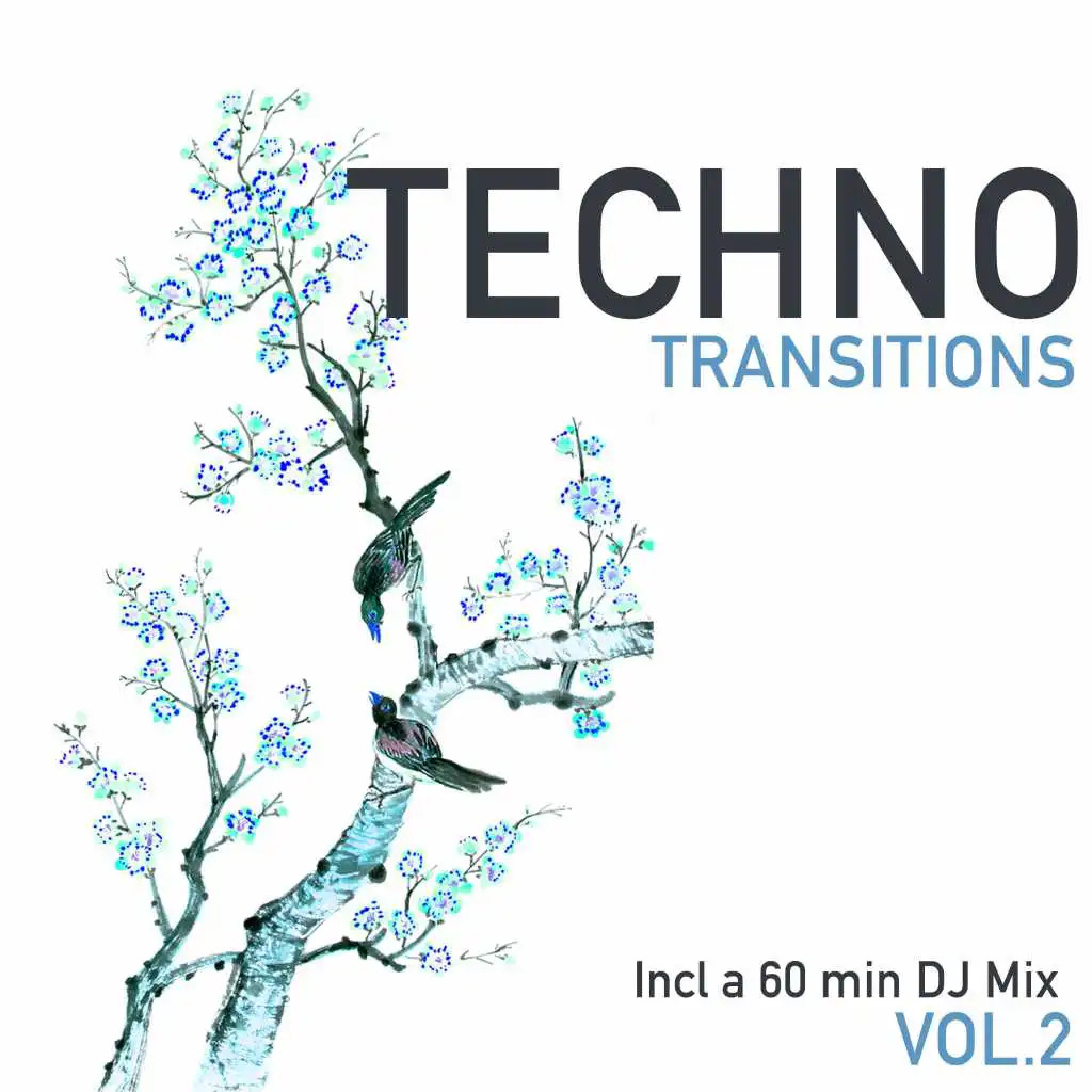 Techno Transitions, Vol. 2