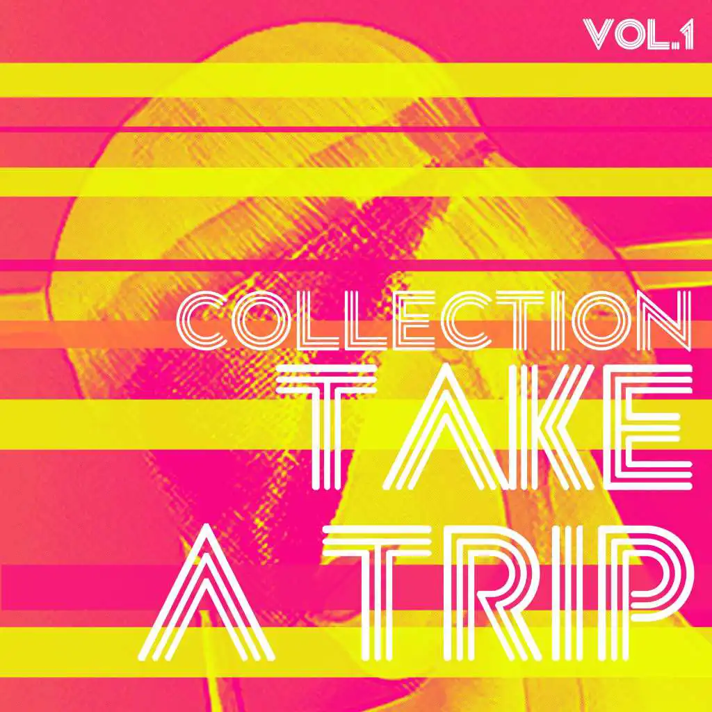 Take a Trip Collection, Vol. 1 - House Music
