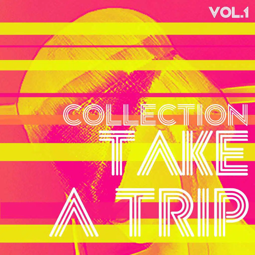 Take a Trip Collection, Vol. 1 - House Music