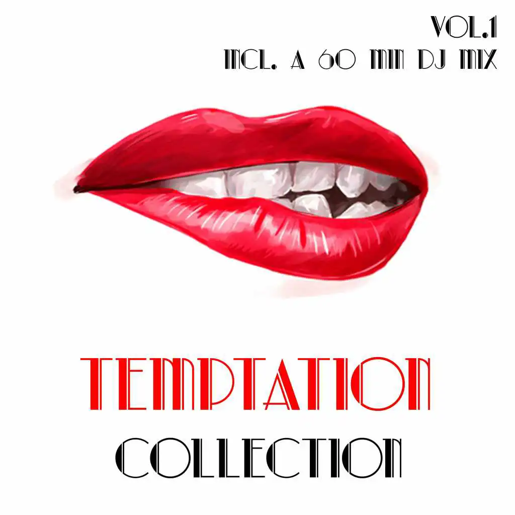 Temptation Collection, Vol. 1 - Selection of House Music