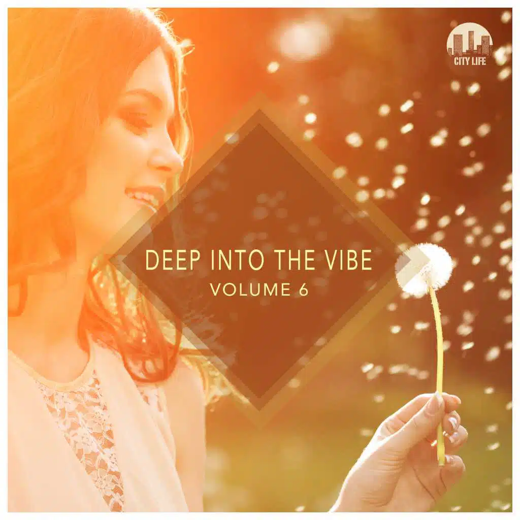 Deep Into the Vibe, Vol. 6