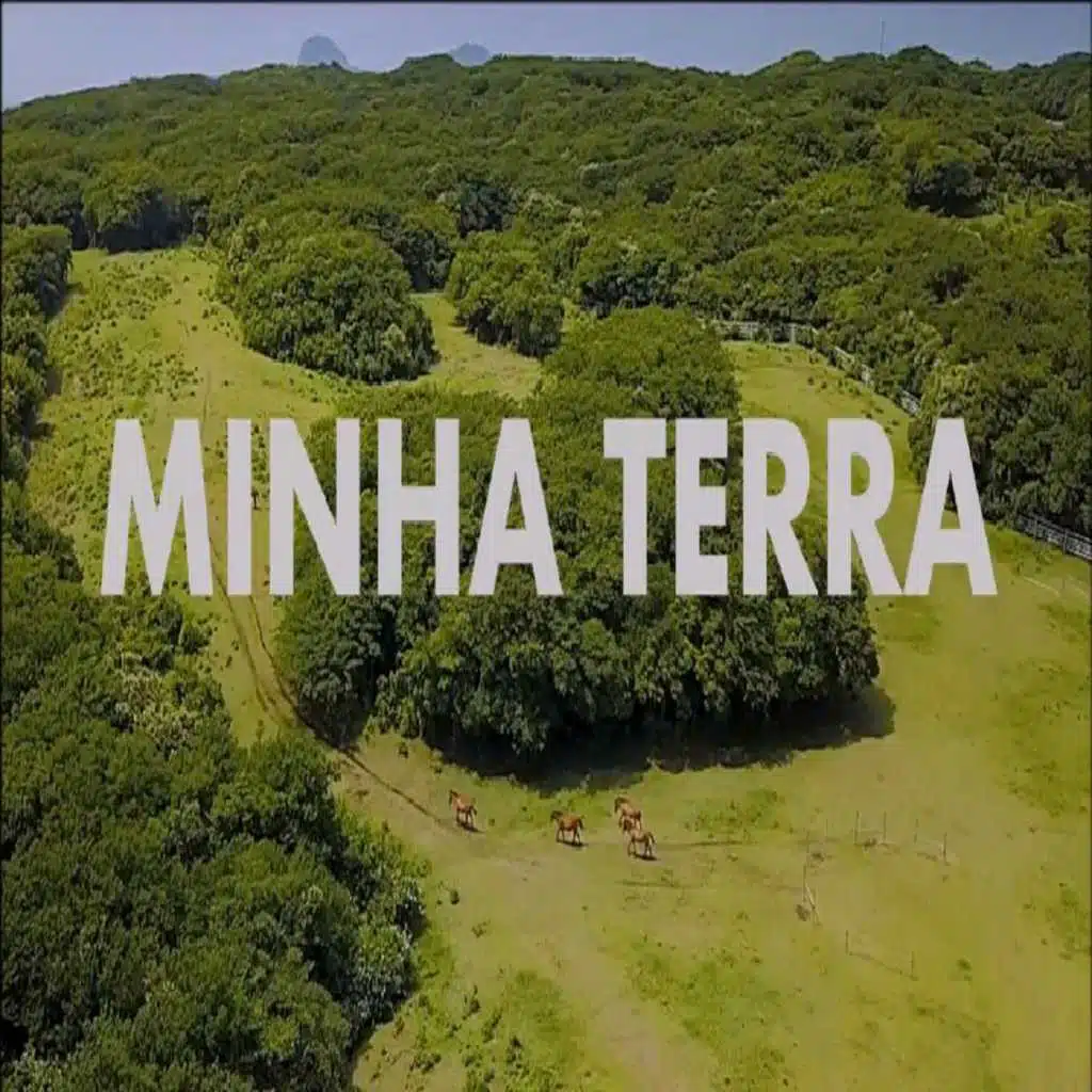 Francisco & Fernando