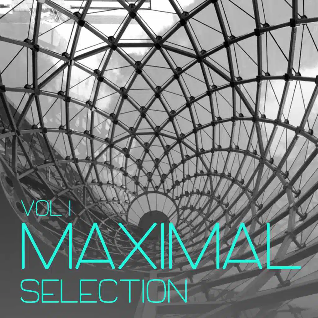 Maximal Selection, Vol. 1 - Minimal Tunes