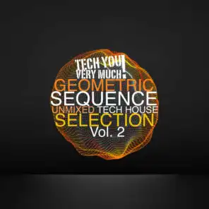 Geometric Sequence, Vol. 2 (Unmixed Tech House Selection)