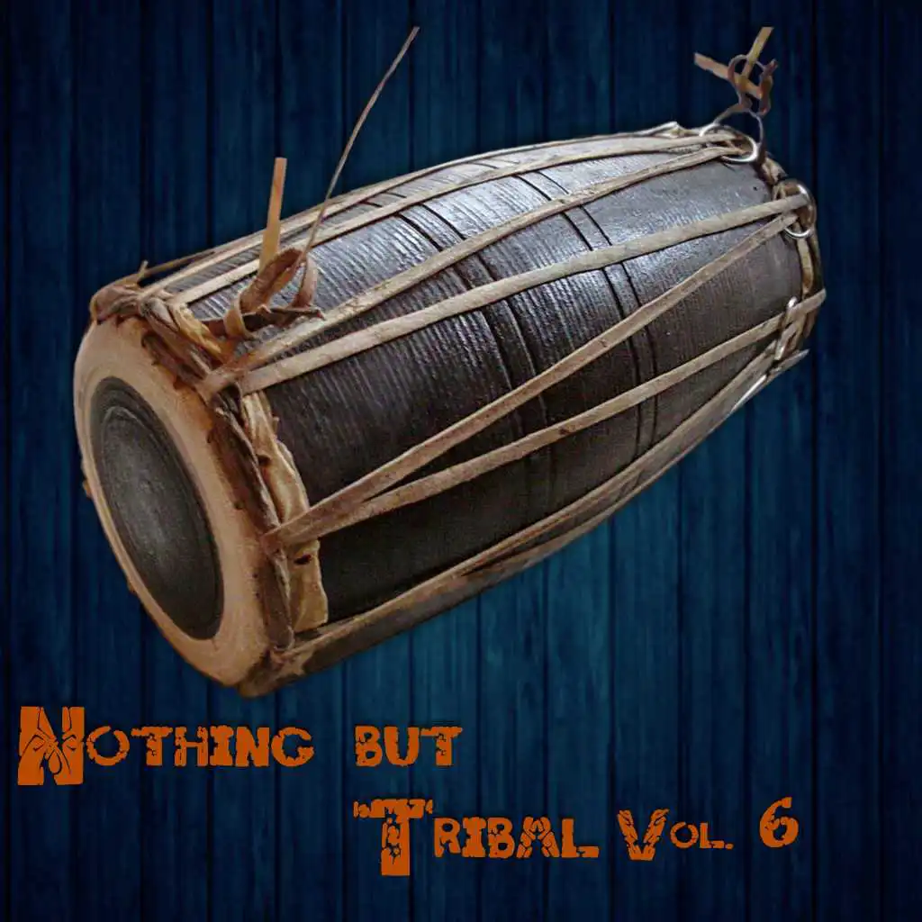 Nothing But Tribal, Vol. 6