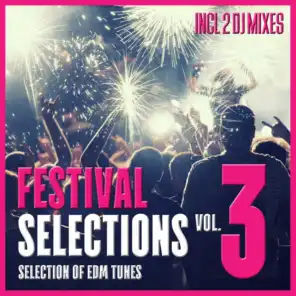 Festival Selections, Vol. 3 - Selection of EDM Tunes