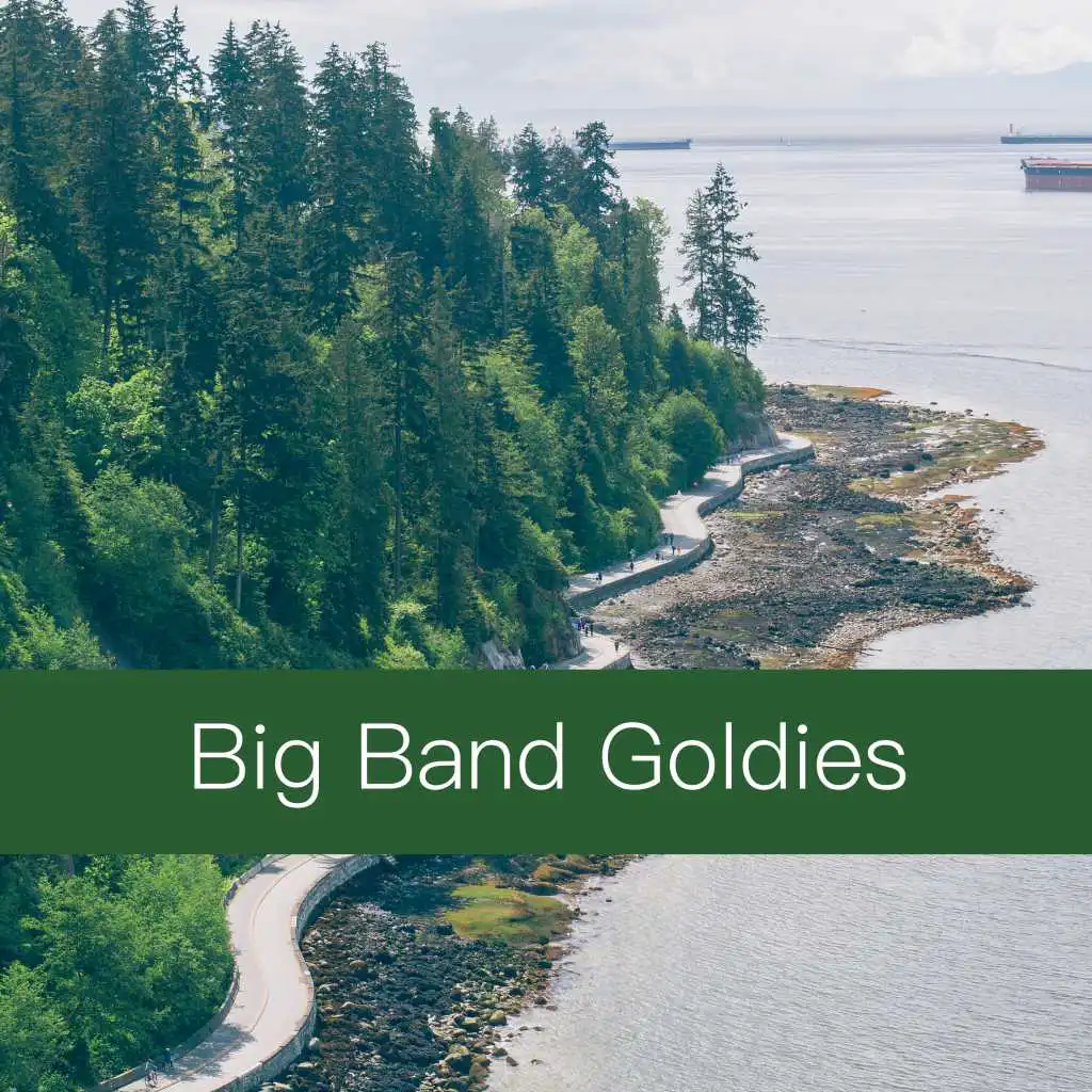Big Band Goldies