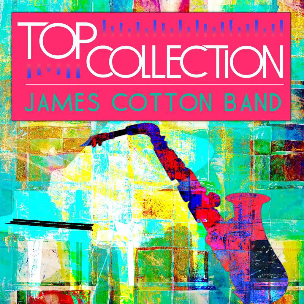 Top Collection: James Cotton Band