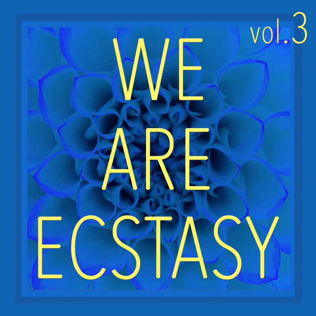 We Are Ecstasy, Vol. 3 - Selection of House and Tech House