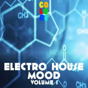 Electro House Mood, Vol. 1