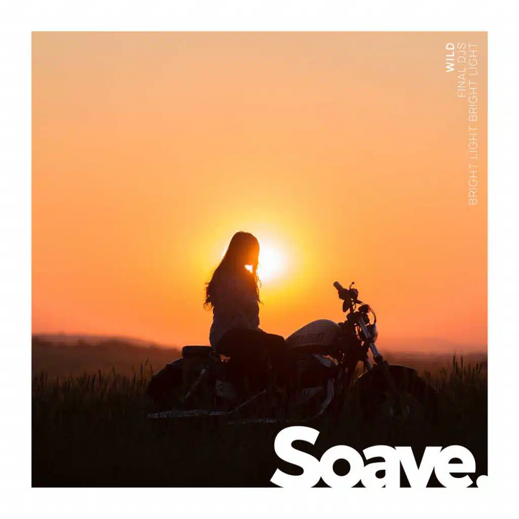 Wild (feat. Bright Light Bright Light)