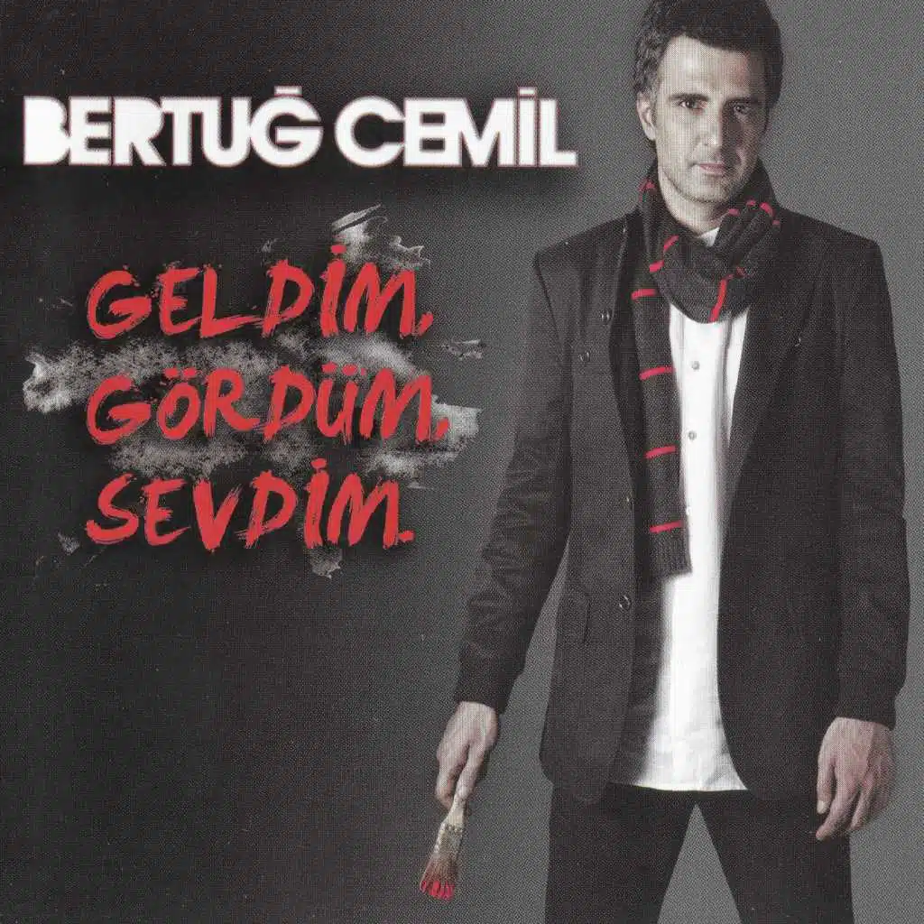 Geldim Gördüm Sevdim