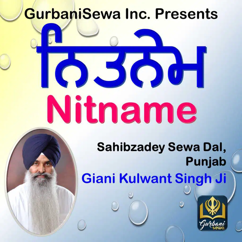 Giani Kulwant Singh Ji (Ludhiana)