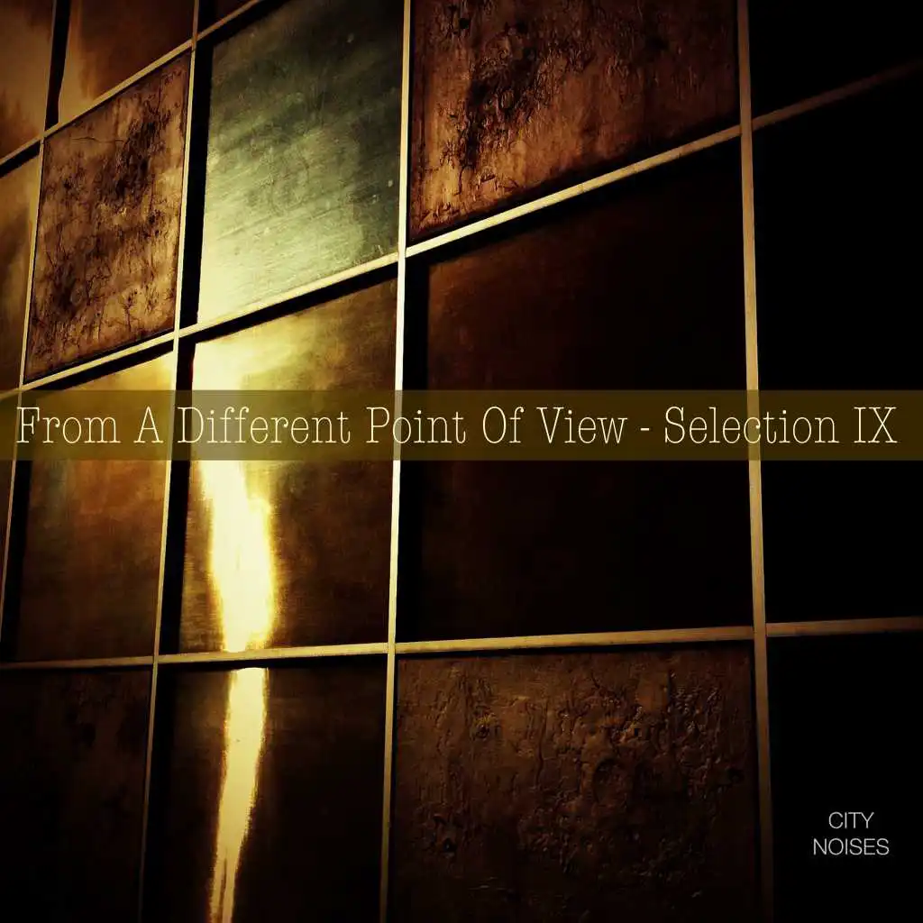 From a Different Point of View - Selection IX