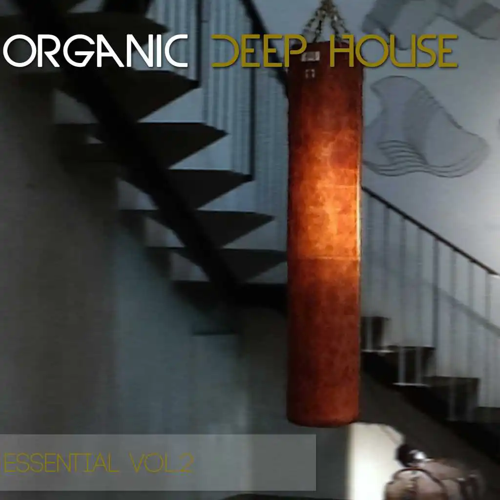 Organic Deep House Essential, Vol. 2