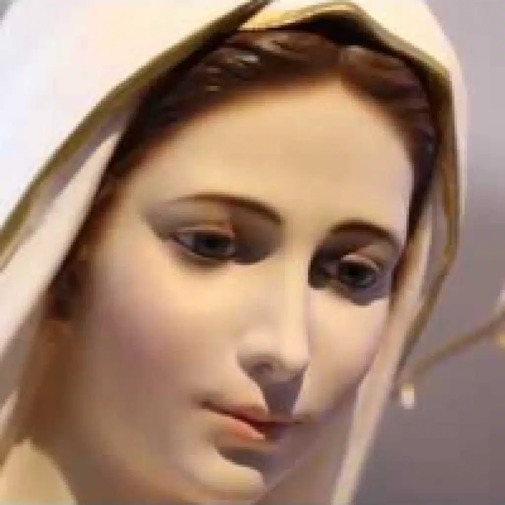 كلّ الأشواق